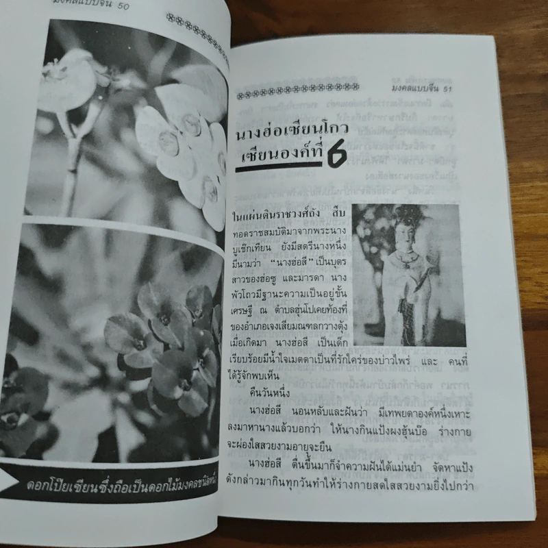 มงคลแบบจีน อมตะนิยาย การกำเนิดแห่ง เซียน สู่... รูปที่ 8