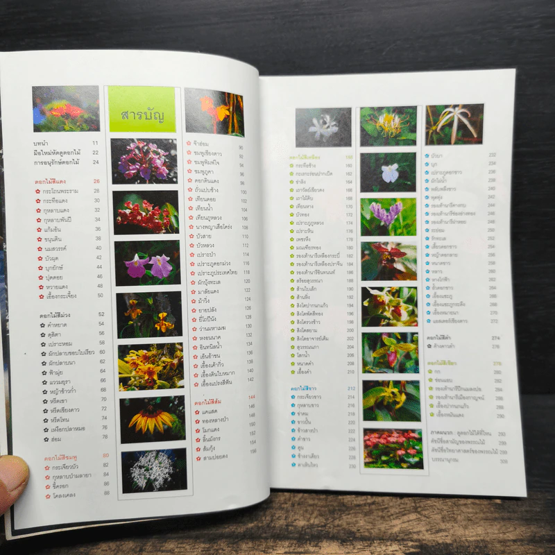 มหัศจรรย์ดอกไม้ป่า - ชาธร สิทธิเคหภาค รูปที่ 7