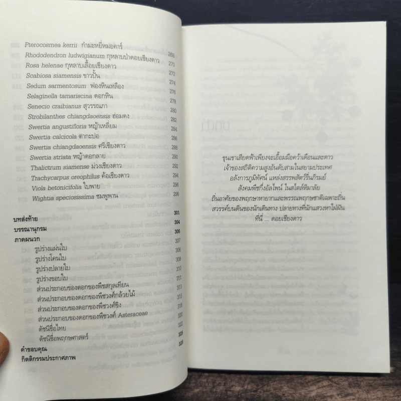สูงเสียดดอยพรรณไม้งาม - ปิยะ โมคมุล รูปที่ 9