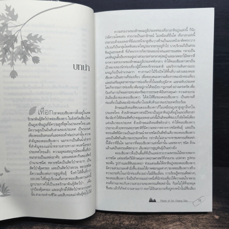สูงเสียดดอยพรรณไม้งาม - ปิยะ โมคมุล รูปที่ 10