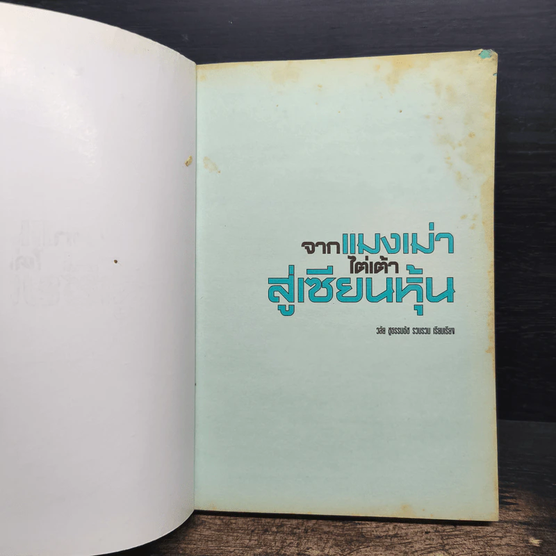 จากแมงเม่าไต่เต้าสู่เซียนหุ้น - วลัย ชูธรรมรัช รูปที่ 6