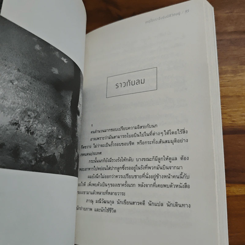 เหตุใดเราจึงยังมีชีวิตอยู่ - นิ้วกลม รูปที่ 9