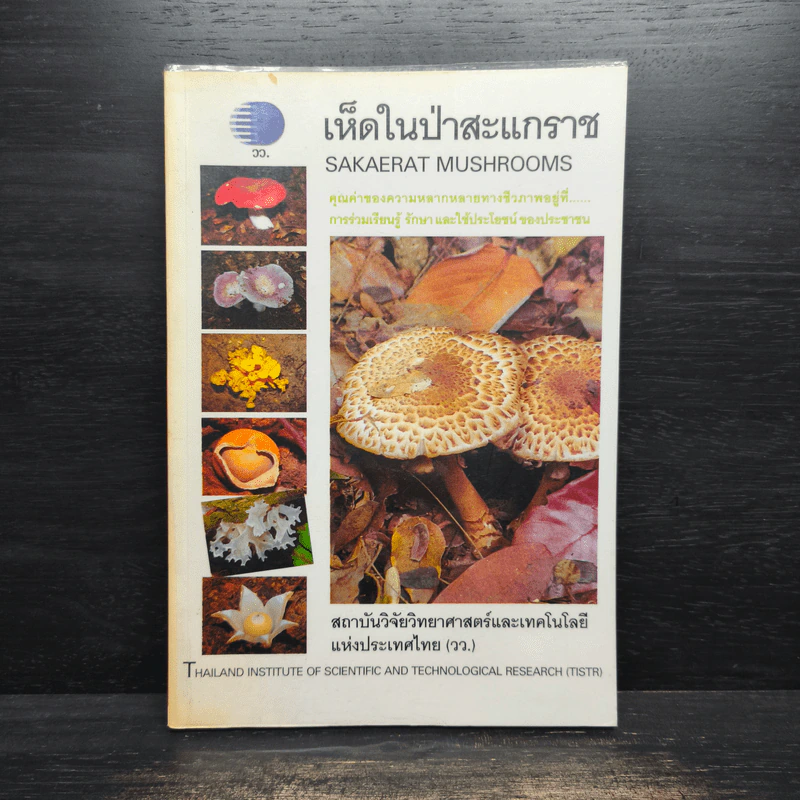 เห็ดในป่าสะแกราช Sakaerat Mushrooms รูปที่ 1