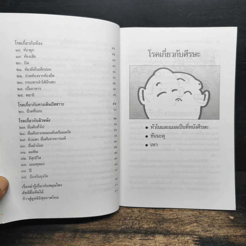 สมุนไพรสำหรับเด็ก รูปที่ 7