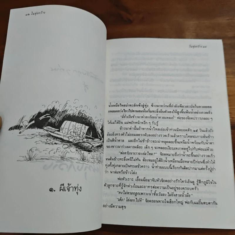 ในทุ่งกว้าง - ถวัลย์ มาศจรัส รูปที่ 8