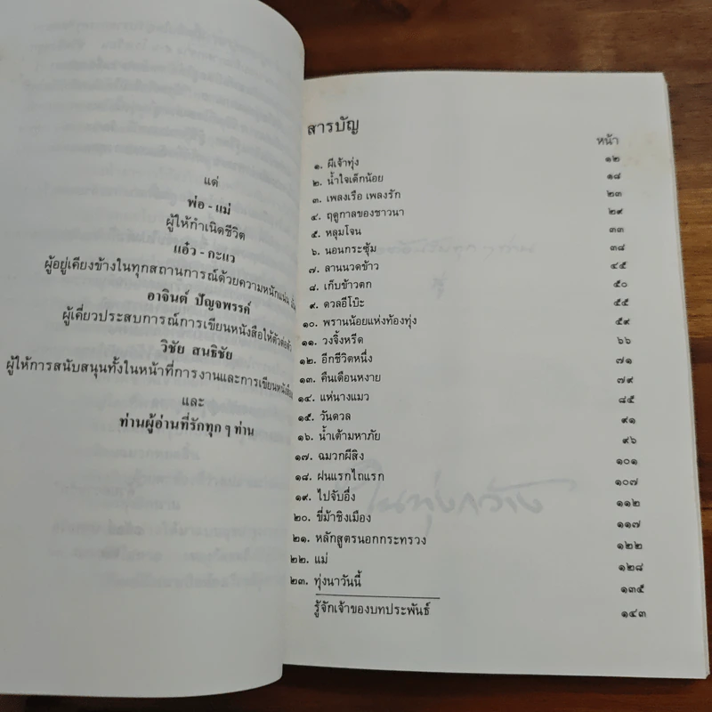 ในทุ่งกว้าง - ถวัลย์ มาศจรัส รูปที่ 7