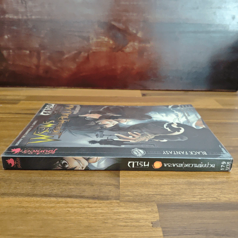 การิน ปริศนาคดีอาถรรพ์ เล่ม 5 ตอน พระพรแห่งความเจ็บปวด - อัยย์ รูปที่ 3