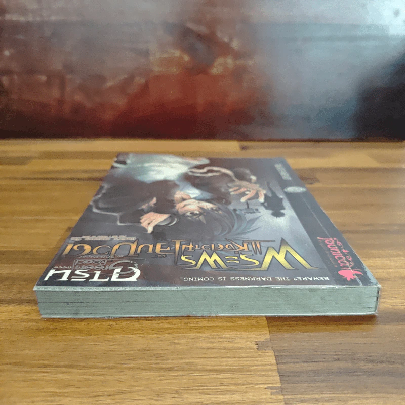 การิน ปริศนาคดีอาถรรพ์ เล่ม 5 ตอน พระพรแห่งความเจ็บปวด - อัยย์ รูปที่ 5