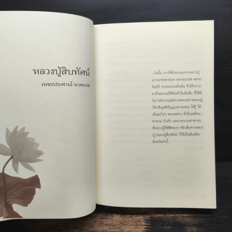 10 ปี + ประสบการณ์ศิษย์พุทธะ - หลวงปู่พุทธะอิสระ รูปที่ 9