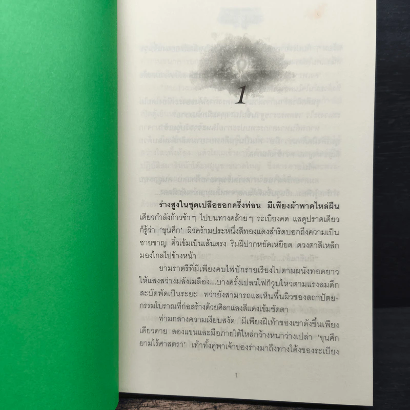 มุนี - ภูเตศวร รูปที่ 8