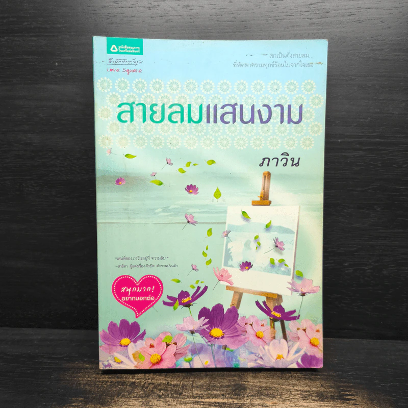สายลมแสนงาม - ภาวิน รูปที่ 1