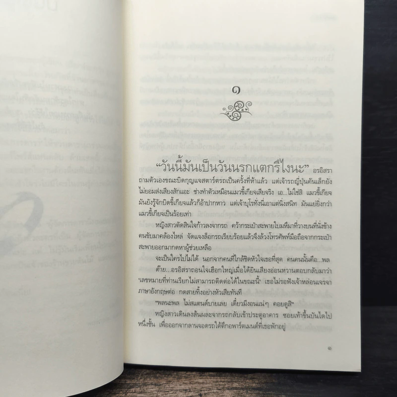 ดั่งสายลม - แม่ช้อง รูปที่ 7