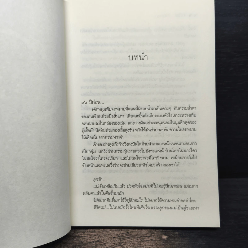 หัวใจ...ใต้ธารา - ธัญภร รูปที่ 6