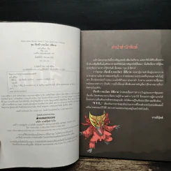 เรื่องผีๆรอบโลก ผีสี่ภาค รูปที่ 6