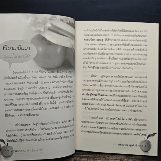 สุดยอดสารอาหารต้านมะเร็ง - รพีพรรณ สุรศักดิ์วรกุล รูปที่ 8
