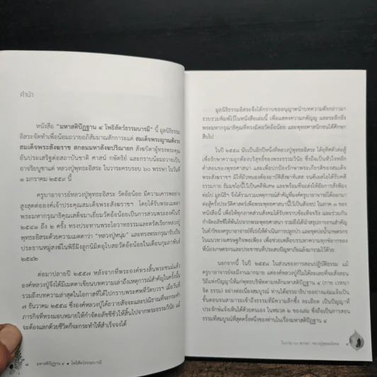 มหาสติปัฏฐาน 4 โพธิสัตว์ธรรมบารมี รูปที่ 7