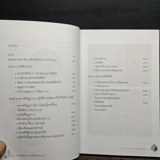 มหาสติปัฏฐาน 4 โพธิสัตว์ธรรมบารมี รูปที่ 8