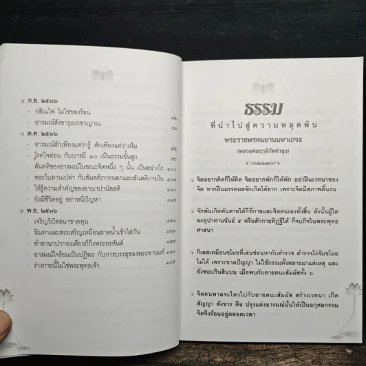 ธรรมที่นำไปสู่ความหลุดพ้น เล่มที่ 6 - พระราชพรหมยานมหาเถระ หลวงพ่อฤาษีวัดท่าซุง รูปที่ 8