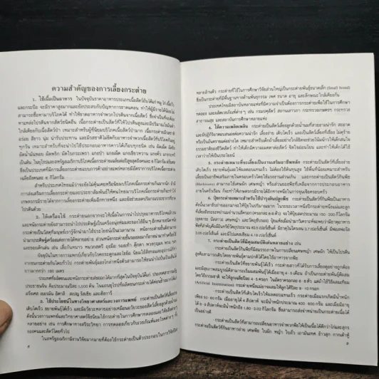 กระต่าย - กิตติ ฉายากุล รูปที่ 8