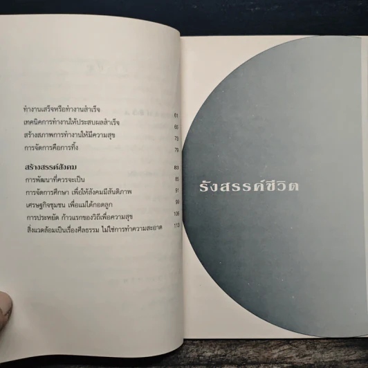 แรงดลใจแห่งชีวิต - โสภณ สุภาพงษ์ รูปที่ 8