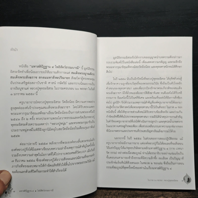มหาสติปัฏฐาน 4 โพธิสัตว์ธรรมบารมี รูปที่ 7