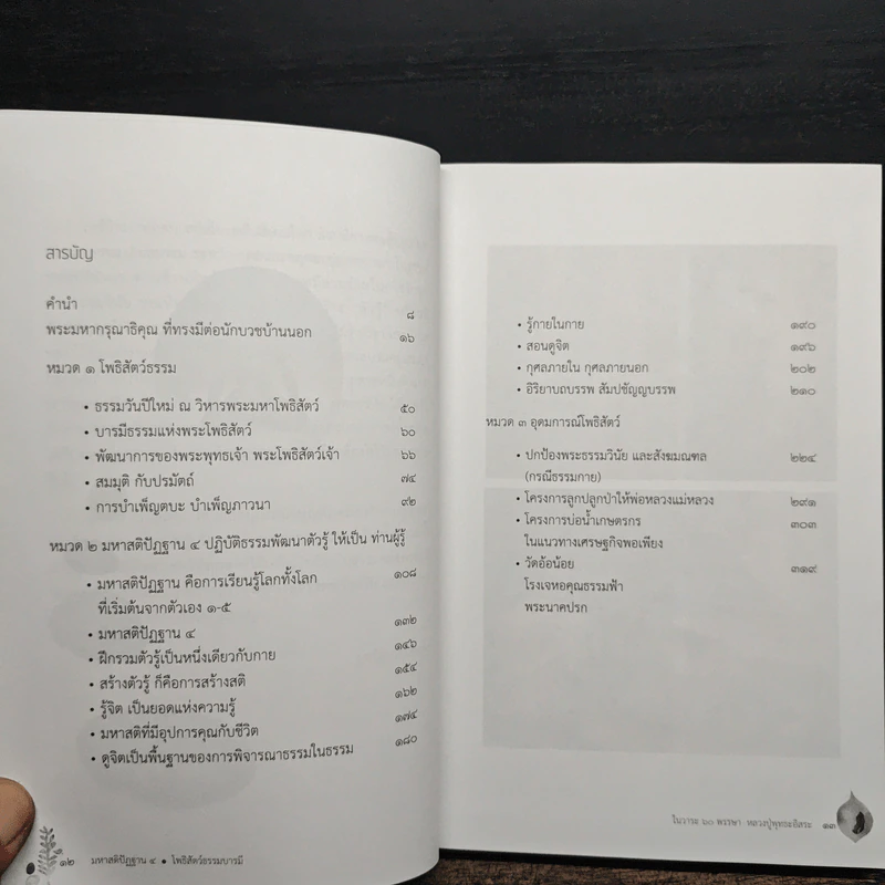มหาสติปัฏฐาน 4 โพธิสัตว์ธรรมบารมี รูปที่ 8