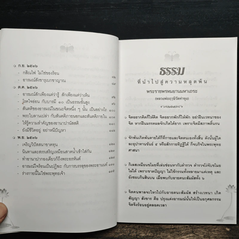 ธรรมที่นำไปสู่ความหลุดพ้น เล่มที่ 6 - พระราชพรหมยานมหาเถระ หลวงพ่อฤาษีวัดท่าซุง รูปที่ 8