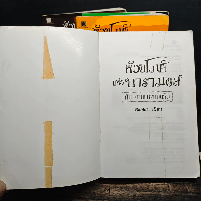หัวขโมยแห่งบารามอส 4 เล่มจบ + The Perfect Guidebook - Rabbit รูปที่ 5