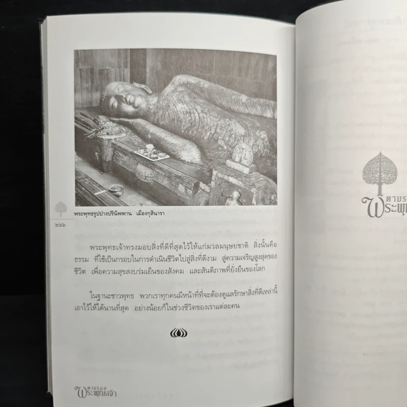 ตามรอยพระพุทธเจ้า - ลักษณา จีระจันทร์ รูปที่ 9