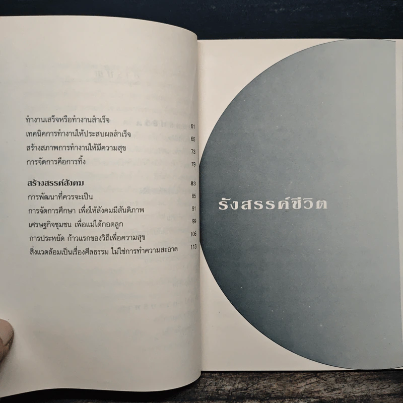 แรงดลใจแห่งชีวิต - โสภณ สุภาพงษ์ รูปที่ 8