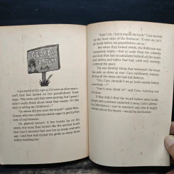 This Isn't What It Looks Like - Pseudonymous Bosch รูปที่ 9