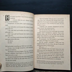 This Isn't What It Looks Like - Pseudonymous Bosch รูปที่ 8