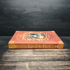 Liesl & Po - Lauren Oliver รูปที่ 3