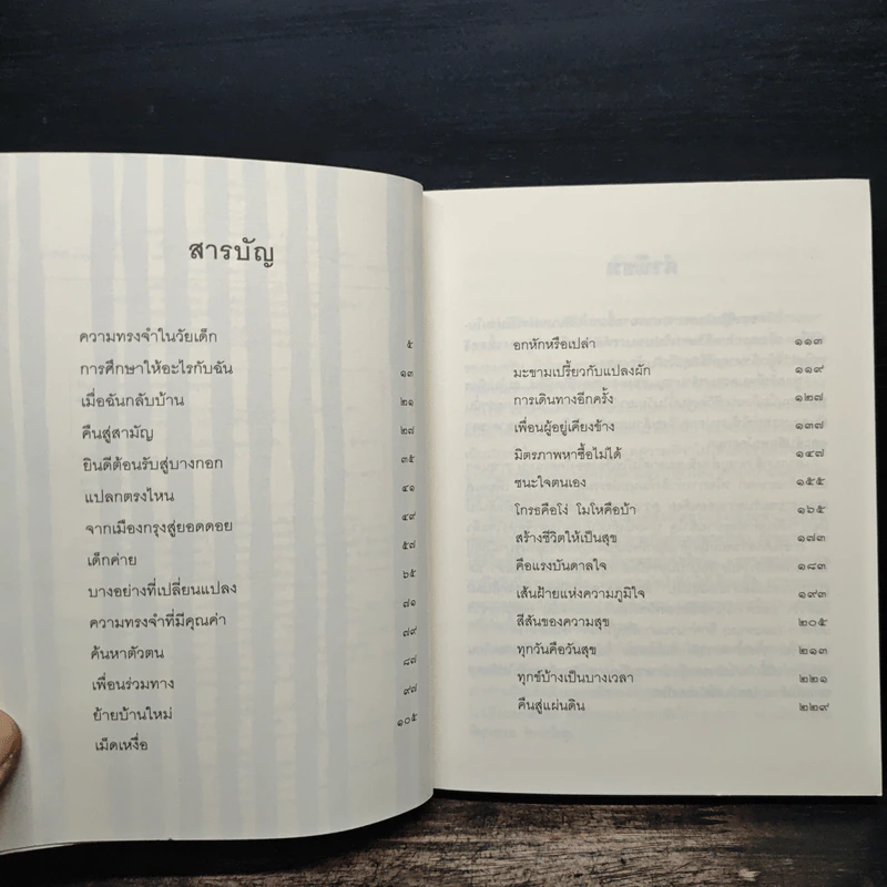 สุขนอกสูตร - สุปรียา ห้องแซง รูปที่ 7