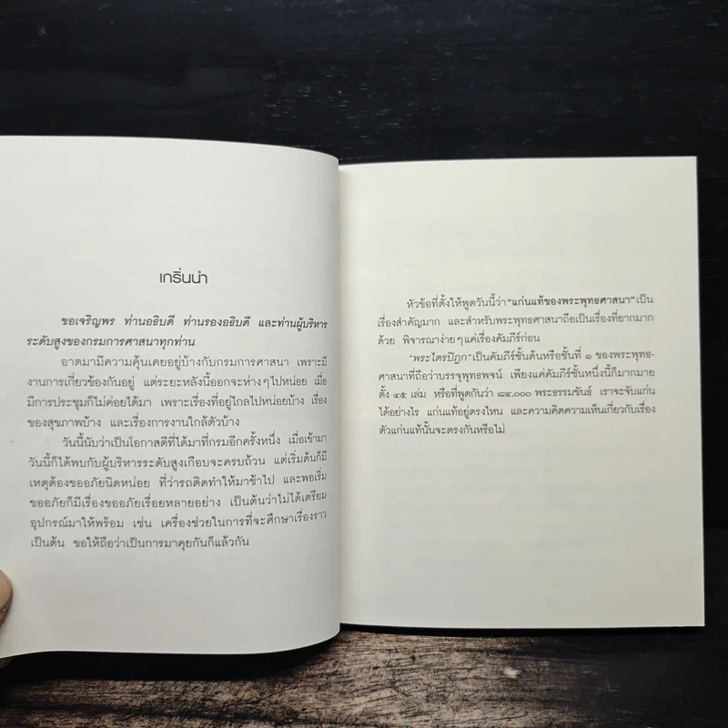 ทุกข์สำหรับเห็น แต่สุขสำหรับเป็น - พระพรหมคุณาภรณ์ (ป.อ.ปยุตโต) รูปที่ 9