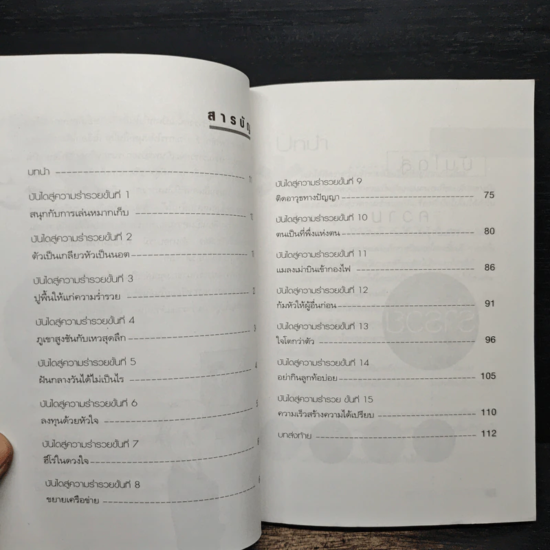บันไดสู่ความร่ำรวย - ศักดิ์ชัย ลี้พิทักษ์นุกูล รูปที่ 8