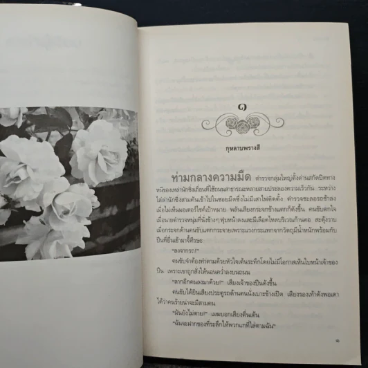 กุหลาบพรางสี - ช่อมณี รูปที่ 7