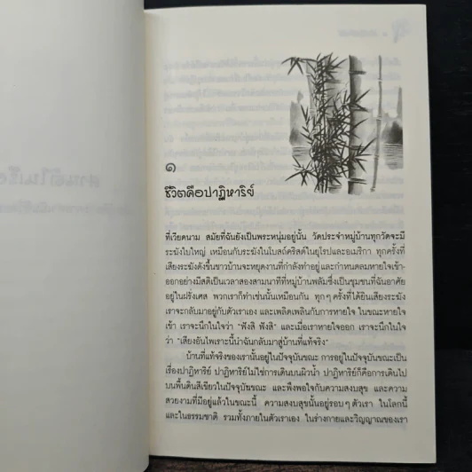 ศานติในเรือนใจ - ติช นัท ฮันห์, ธีรเดช อุทัยวิทยารัตน์ รูปที่ 8