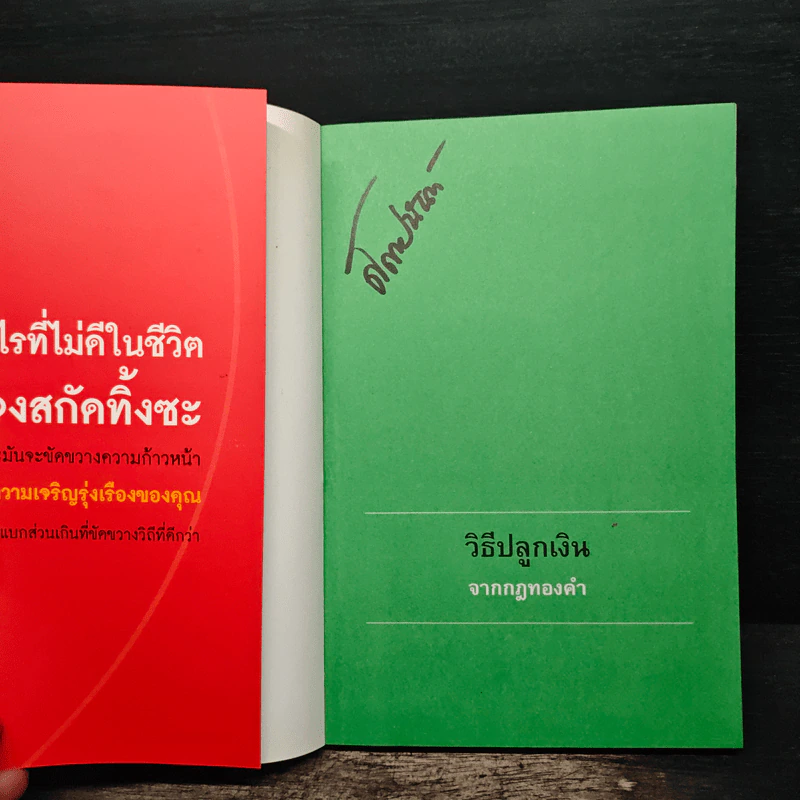 8 วิธีปลูกเงินจากกฎทองคำ - พชร ผลิตโชค รูปที่ 6