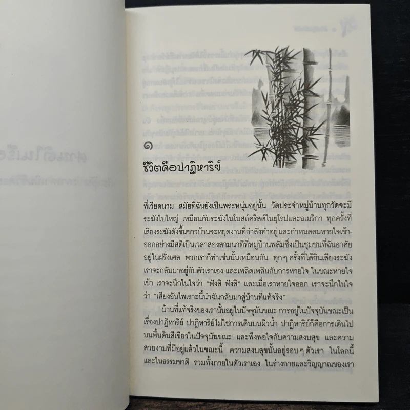 ศานติในเรือนใจ - ติช นัท ฮันห์, ธีรเดช อุทัยวิทยารัตน์ รูปที่ 8
