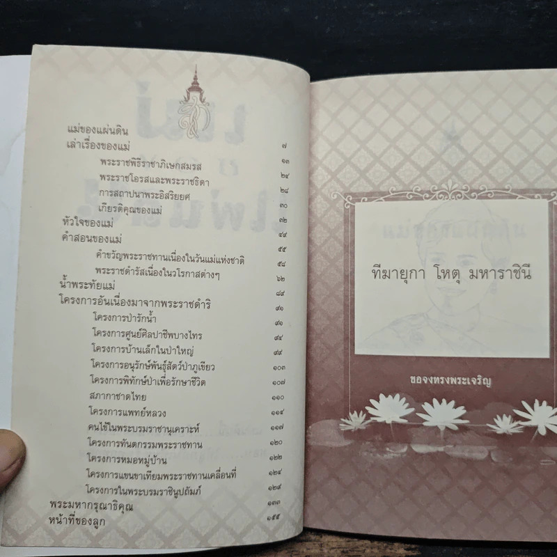 แม่ของแผ่นดิน รูปที่ 6