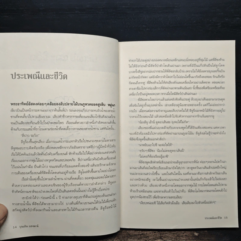 ใบไม้ใบสุดท้าย - บุนเสิน แสงมะนี รูปที่ 9