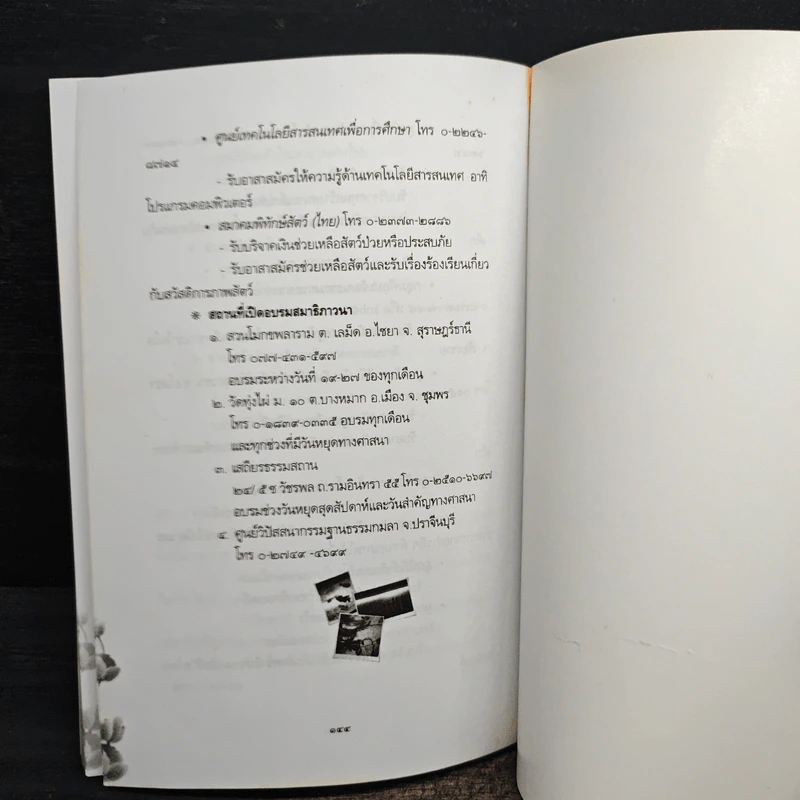 ทำบุญล้างซวย - ปิ่น ประดิษฐากูร รูปที่ 9