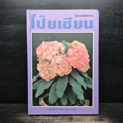 ไม้แห่งโชคลาภ โป๊ยเซียน - ไพโรจน์ จักรวาลชัย รูปที่ 1