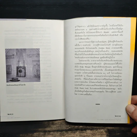 ประวัติศาสตร์เก็บตกจากยุโรป - ดร.ธิดา สาระยา รูปที่ 8