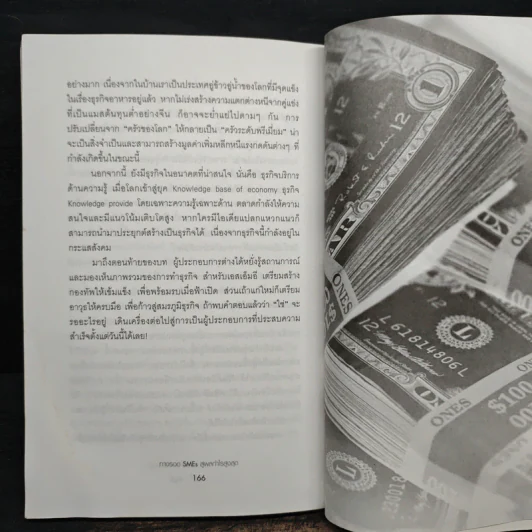 ทางรอด SMEs สู่ผลกำไรสูงสุด - ศิจิกา เลิศสาธิต รูปที่ 9