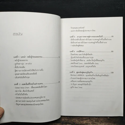 ทางรอด SMEs สู่ผลกำไรสูงสุด - ศิจิกา เลิศสาธิต รูปที่ 7