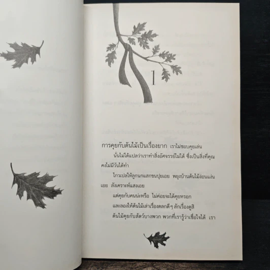 Wishtree ต้นไม้อธิษฐาน - Katherine Applegate รูปที่ 7