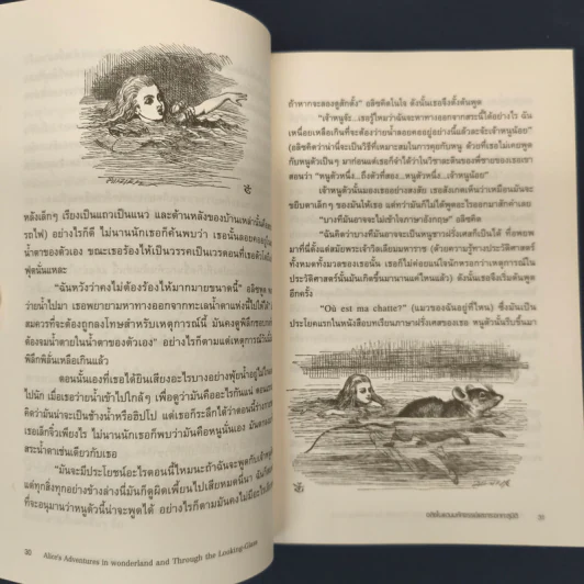 อลิซในแดนมหัศจรรย์ Alice's Adventures In Wonderland รูปที่ 8