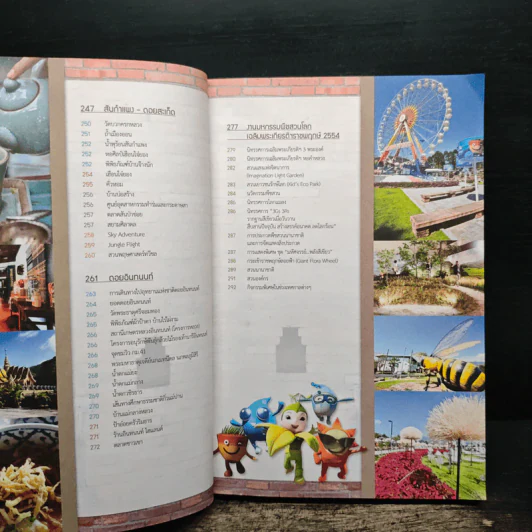 ชม ชิม ช้อป ชิลล์ in เชียงใหม่'55 รูปที่ 11